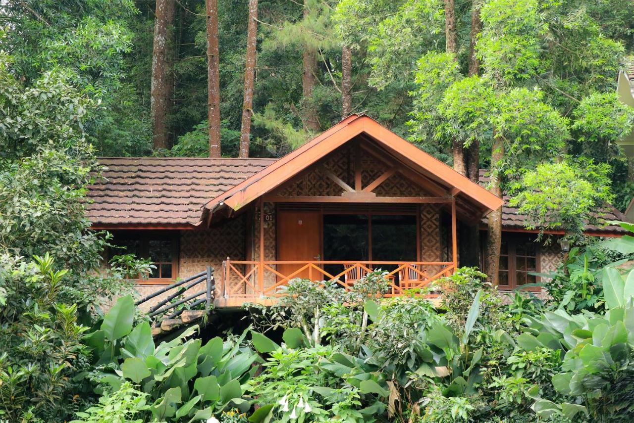 Safari Resort Пунчак Экстерьер фото